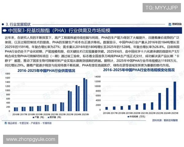 PPG集团在涂料与特殊材料行业的市场份额与行业地位分析帮助行业人士洞察行业发展趋势 PPG集团在涂料与特殊材料行业的市场份额与行业地位分析帮助行业人士洞察行业发展趋势
